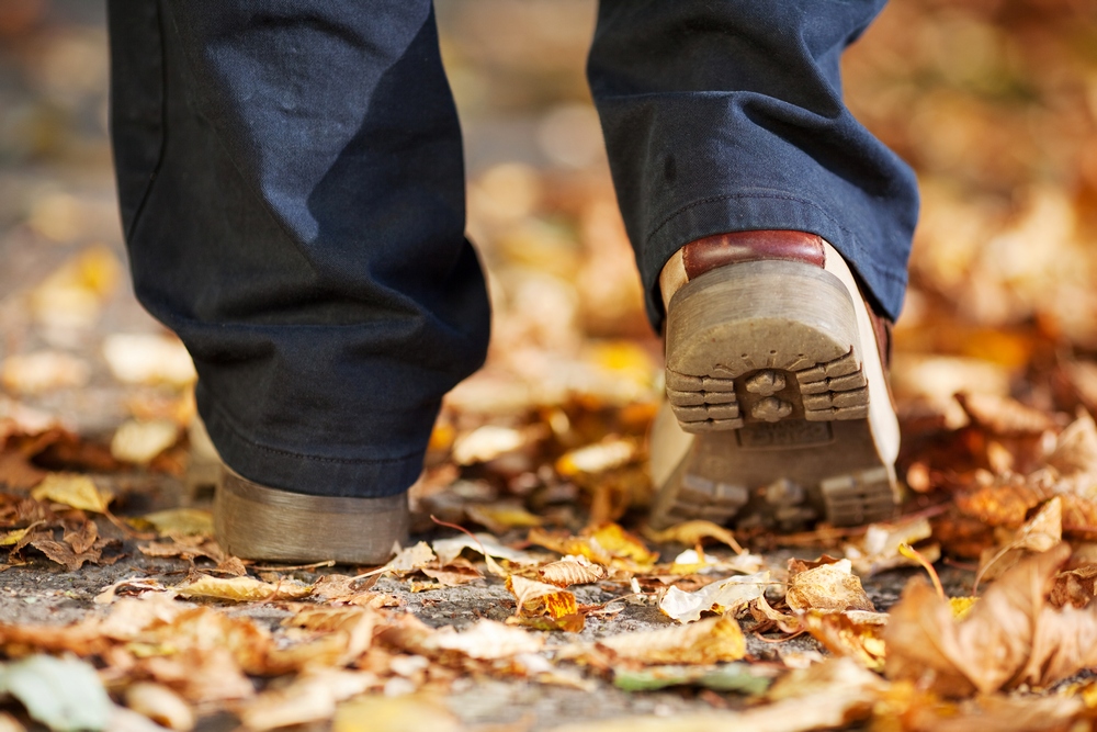 A man strolling through the forest in Autumn alone