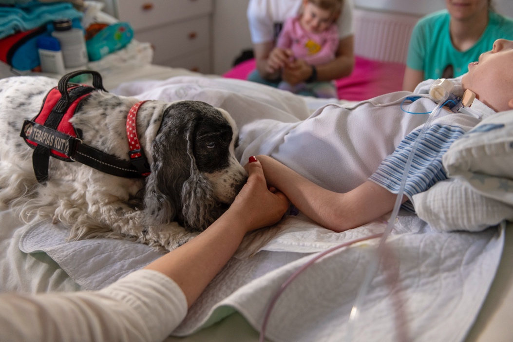 087 Honorable mention Hungarian Hospice Palliative Association